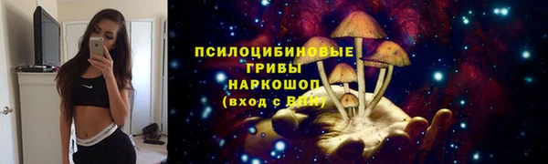 дживик Вязники