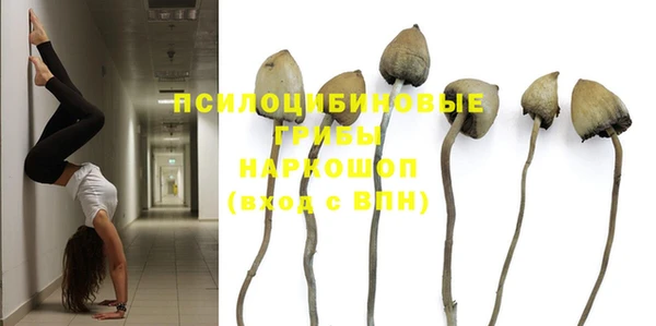 гидропоника Дубна