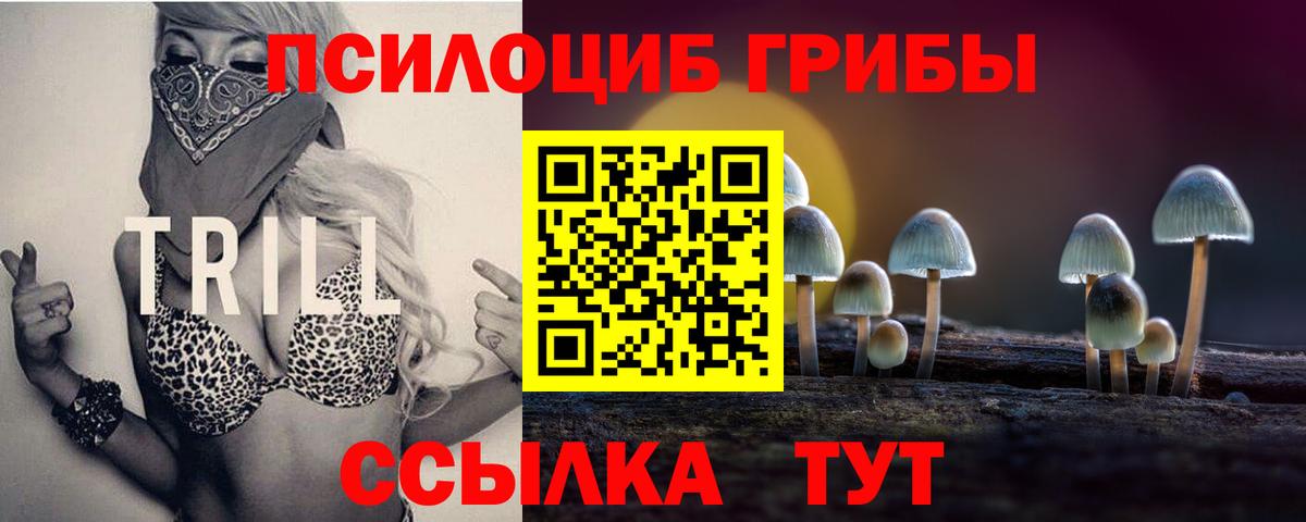 купить  цена  Галлюциногенные грибы ЛСД  Псилоцибиновые грибы ЛСД  Вход с VPN  Саров 